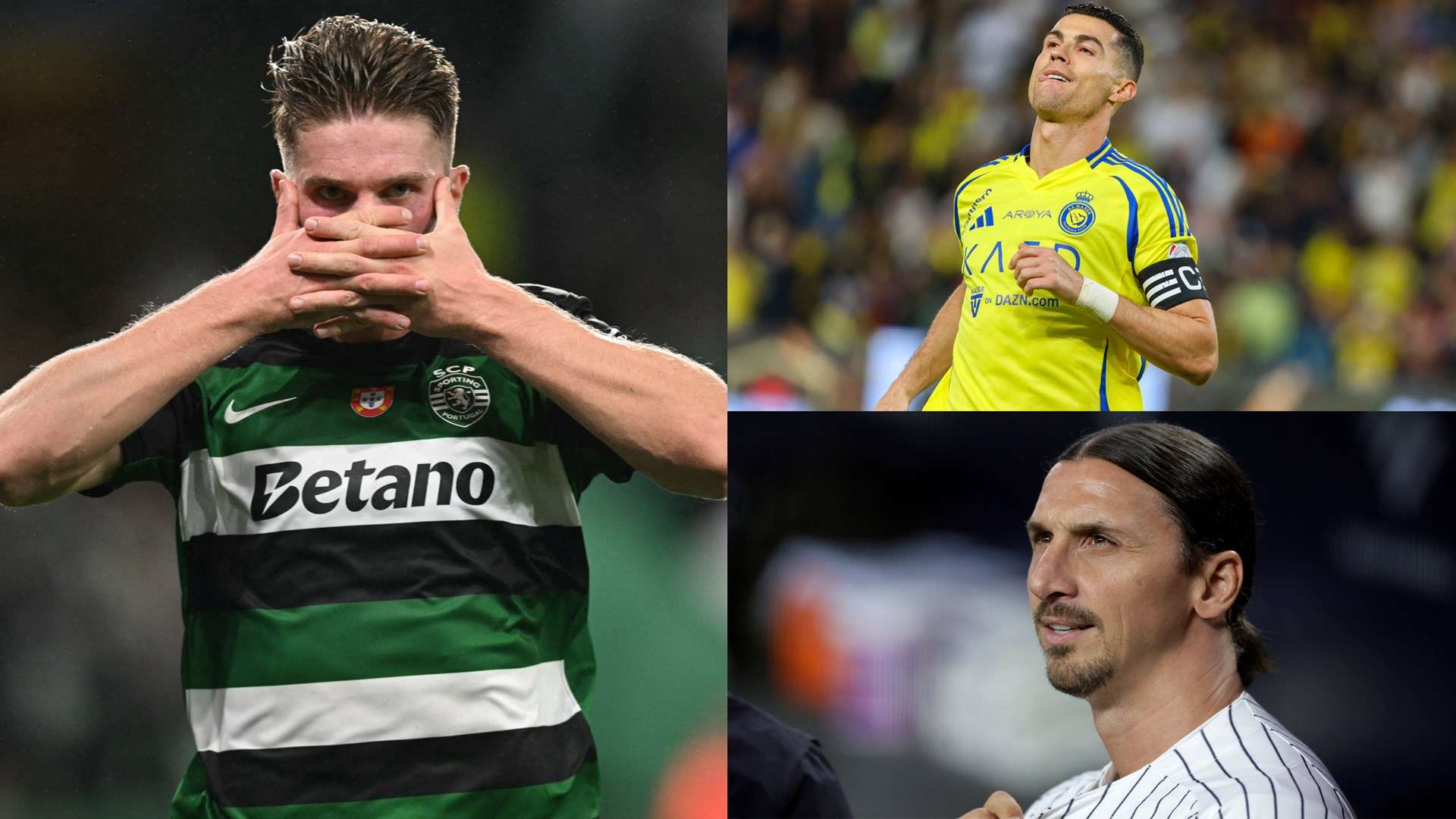 脉和资源 脉和资源